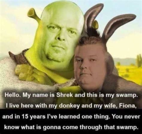 Shrek And Donkey Laughing At Fiona Meme Template