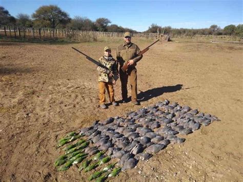 Argentina Hunting Trips Hunting The World