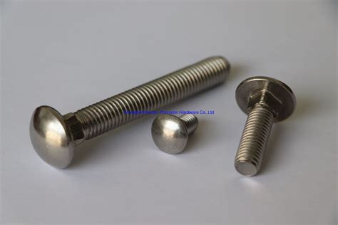 Stianless Steel Carriage Bolt Customized Size M5 M20 Bolts Polishing