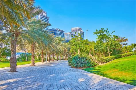 The Shady Palm Alley Zabeel Park Dubai Uae Stock Photo Image Of