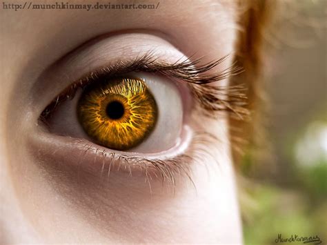 His Golden Eyes Golden Eyes Eye Art Aesthetic Eyes