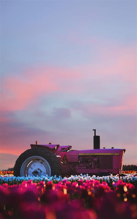 800x1280 John Deere Tractor In Flower Farm 4k Nexus 7samsung Galaxy