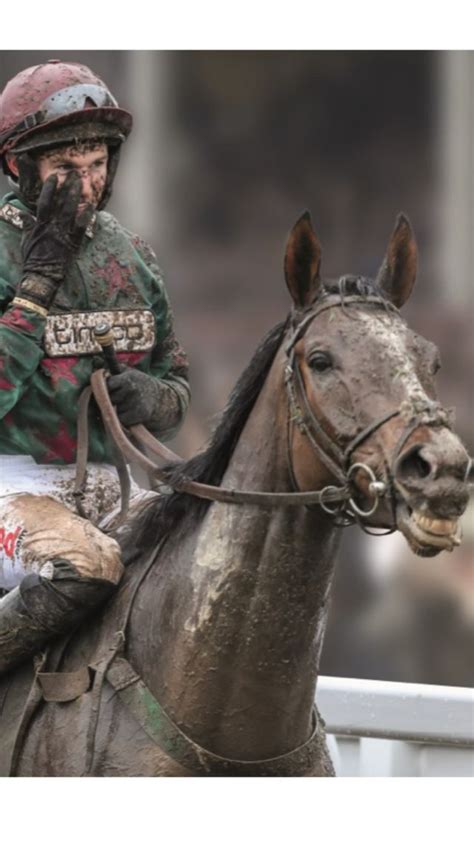 This is not the place to share photos of an ex, a family member, celebrity, or content creator/user from another. Pin by Ryan on Horse Racing in 2020 | Horse racing, Horses ...
