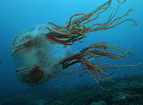 Biggest Jellyfish In The World