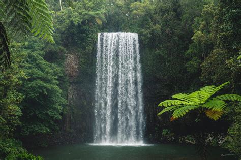 Ways To Do Summer In The Atherton Tablelands Tropical North Queensland