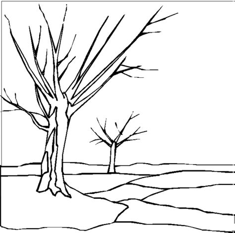 Kahler Baum 2 Ausmalbild & Malvorlage (Landschaften)