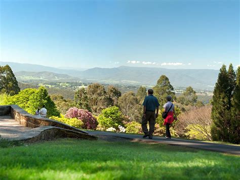 Scenic Attractions In The Dandenong Ranges Nature And Wildlife Yarra