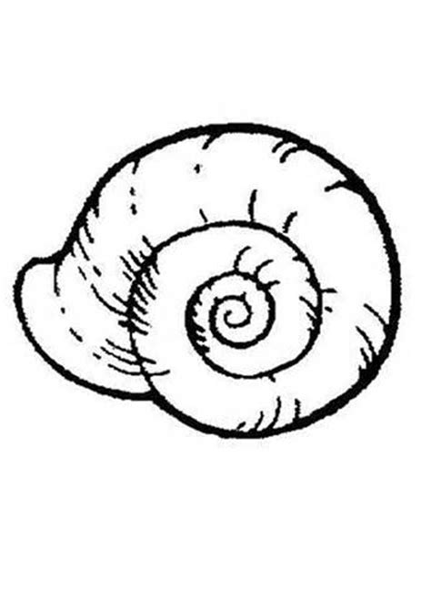 Some of the coloring page names are seashell drawing lovely zigzag scallop seashell drawing coloring embrodery shell, shell clip art black and white conch large snail clip art shells. Beach Shells Coloring Pages - Coloring Home