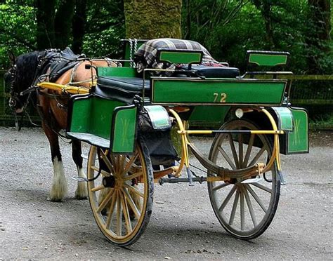 Two Seater Buggy Horse Drawn Wagon Carriage Driving Buggy
