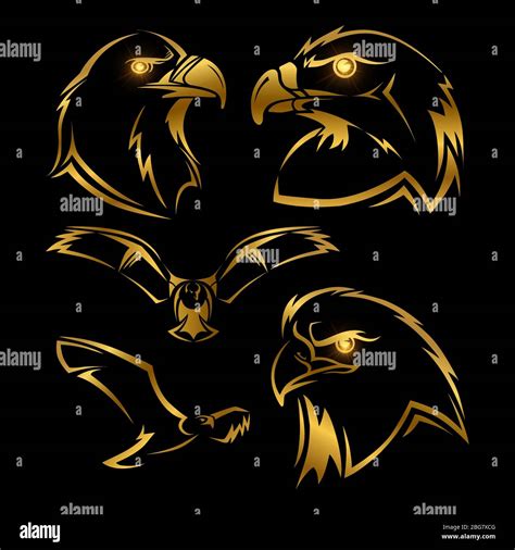 Golden Eagle Hawk Vector Mascots Set Shine Eagles Vector Isolated On