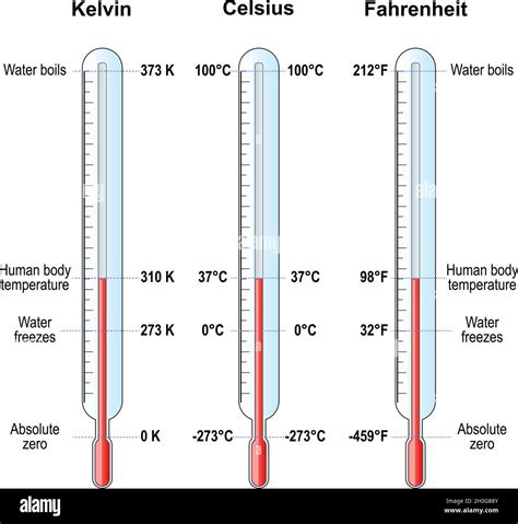 Scale Di Temperatura Termometri Celsius Fahrenheit E Kelvin