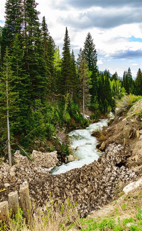 River Forest Spruce Stones Stream Hd Phone Wallpaper Peakpx