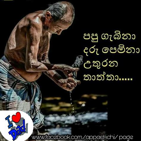Sinhala Fathers Love Nisadas Sinhala Fathers Love Quotes Sinhala