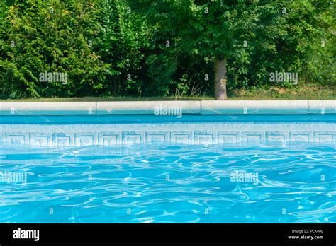 Blue Swimming Pool With Edge And Vegetation And Plants In The