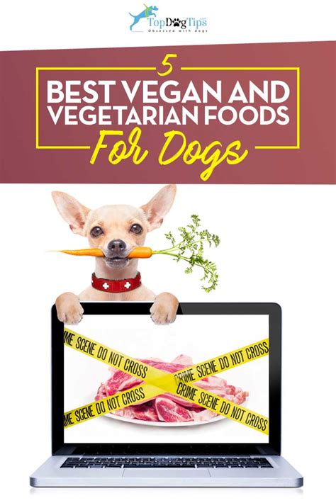 What is the best vegan dog food in 2019? Top 5: Best Vegan Dog Food & Best Vegetarian Dog Food in 2017