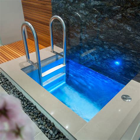 Cold Plunge Pool Ideas Photos And Ideas Houzz