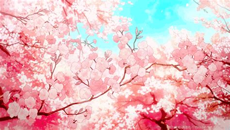 Anime Cherry Blossoms Tumblr