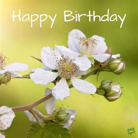 Best bouquet of flowers happy birthday greeting card gif. 300+ Great Happy Birthday Images for Free Download ...