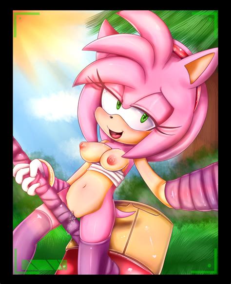 Rule 34 Amy Rose Anthro Breasts Female Female Only Fur Hammer
