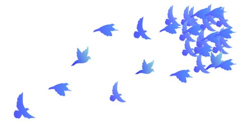 Gambar Vektor Clipart Ilustrasi Burung Terbang Burung Terbang
