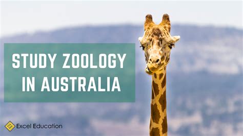Zoology Courses At Australian Universities Mudfooted