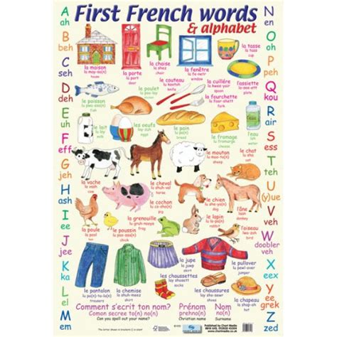 School Educational Posters French Words And Alphabet Chart For Teachers