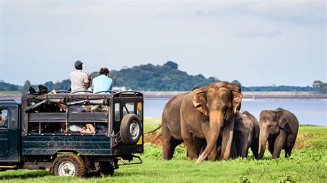 Sri Lanka Recorded Over 47000 Tourist Arrivals So Far In 2023