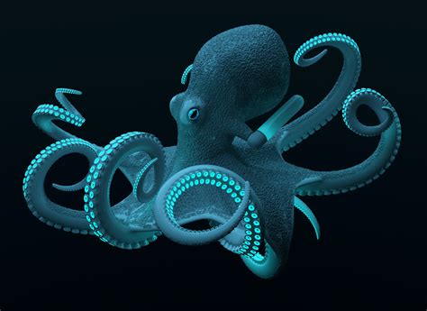 Deep Sea Creatures By Sebastian Russ At