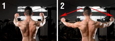 Best Rear Deltoid Exercises Look Big From Every Angle Grow That Muscle