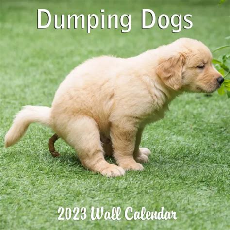 2023 2024 Wall Calendar 18 Monthly Pooping Dogs Calendar Jul 2023 Dec