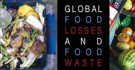 Global Initiative On Food Loss And Waste Reduction