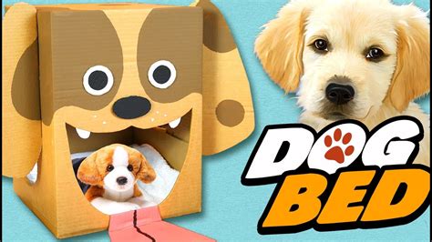 Diy Dog Bed Cardboard Craft Ideas For Kids Box Yourself Youtube