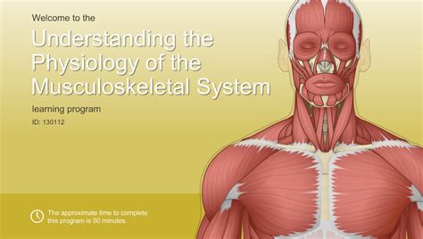 Understanding The Physiology Of The Musculoskeletal System Adam