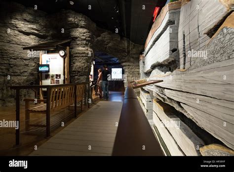 Exhibit In The Visitor Center Of Mammoth Cave National Park Stock Photo