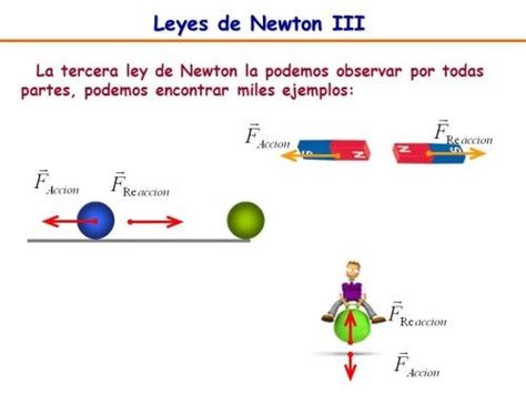 3 Ejemplos De La Tercera Ley De Newton Opciones De Ejemplo