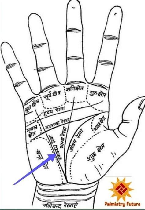 Lottery Signs And Sudden Wealth Signs In Your Hands Palmistry Artofit