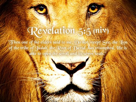 Revelation 55 Lion Of The Tribe Of Judah Wallpaper Christian