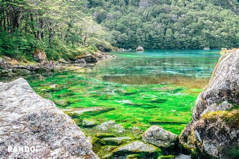 Blue Lake The Clearest Lake In The World In Nelson New Zealand Places To See In Your Lifetime