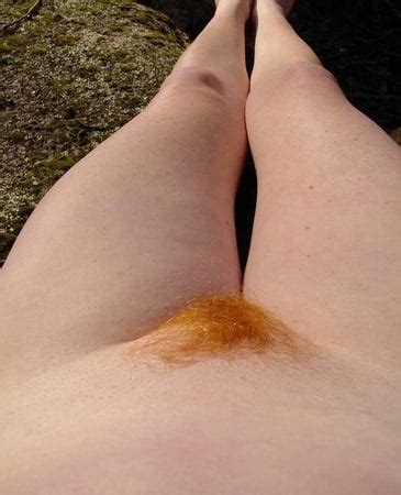 BEST Of Orange Red Brown Ginger Blonde Pubic Hair 3 222 Pics