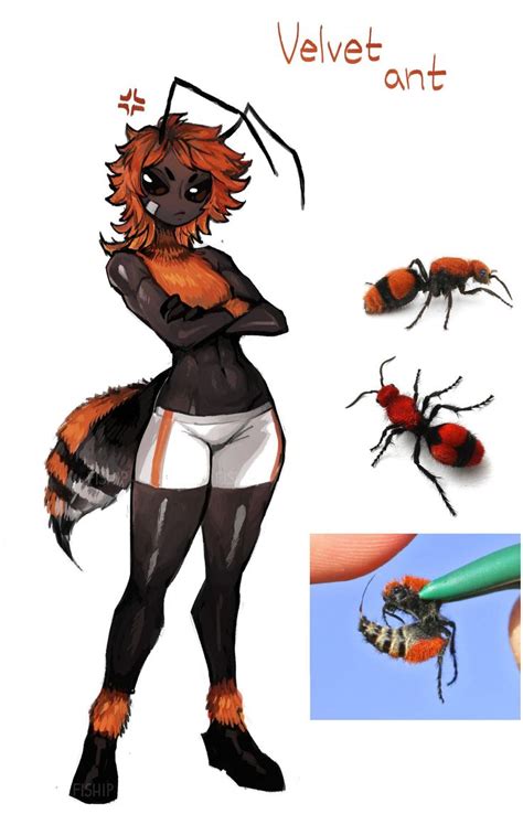 Velvet Ant Gijinka Moe Anthropomorphism In 2021 Fantasy Character Design Concept Art