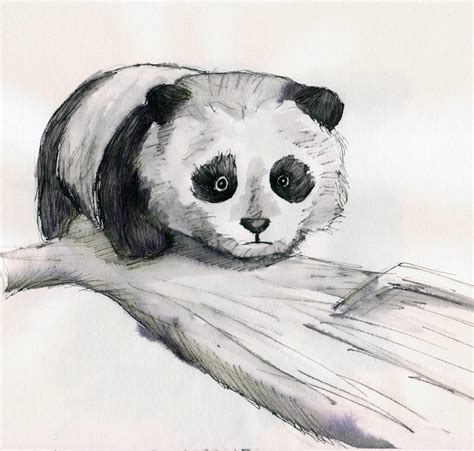 Panda Sketch By Destiny Love Art On Deviantart