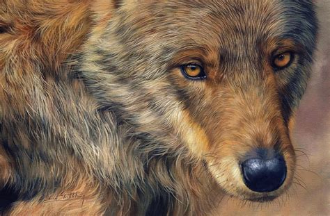 Portrait Of A Wolf Painting By David Stribbling