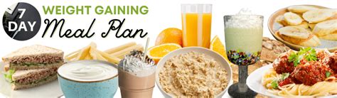 High Protein Meal Plans For Weight Gain Food Keg