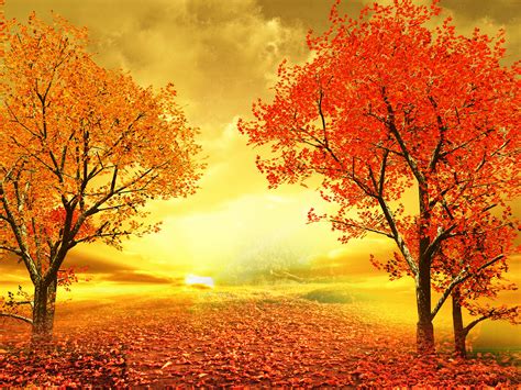 Autumn Sunset Road Wallpaper And Background Image