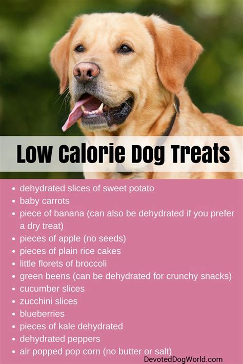 Replacing the types of chewy treats homemade dog treat recipes. Is your dog overweight? Here are low calorie dog treats to help your dog go on a diet. | Low ...