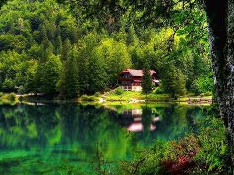 Hd Wallpaper Lake Paradise Nature Green Greenery Serenity