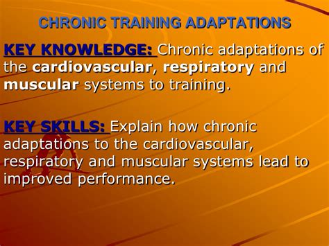 Chapter 11 Training Adaptations Pdf Aerobic Exercise Muscle