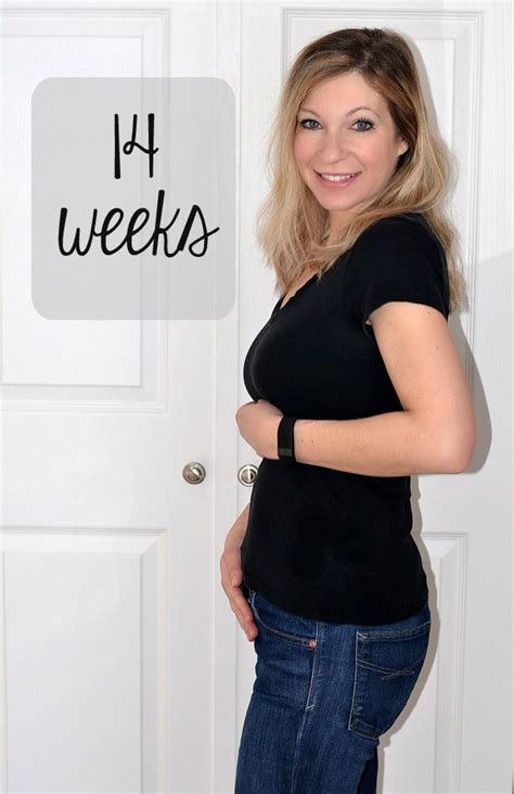 14 Weeks The Maternity Gallery