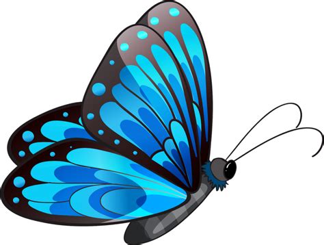 Butterfly Png Transparent Images Page 4 Of 4 Pngfre