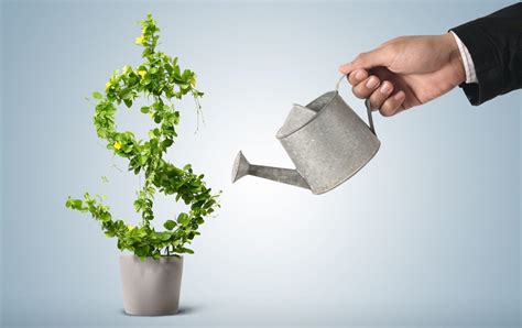 Best Ideas on How to Invest 50k Wisely - Tweak Your Biz